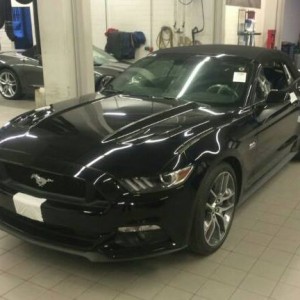 Mustang Cabrio mieten Berlin