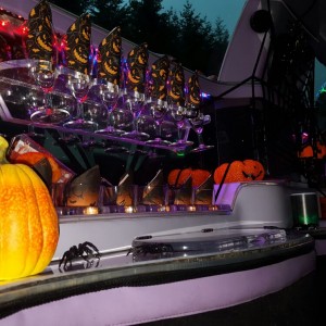 Halloween Party Limousinen Package